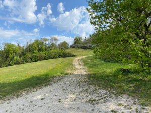 Gallery_'NATURA e BENESSERE'_10
