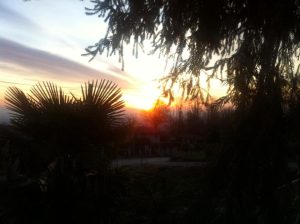 Gallery_'NATURA e BENESSERE'_13