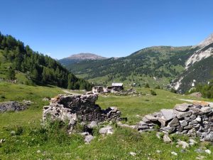 Gallery_'NATURA e BENESSERE'_3