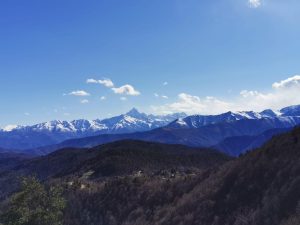 Gallery_'NATURA e BENESSERE'_4