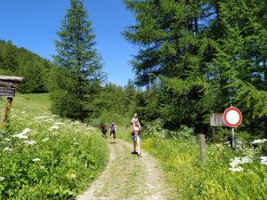Gallery_'NATURA e BENESSERE'_8