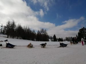 GALLERIA_Natura & Benessere_07