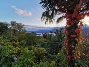 GALLERIA_Natura & Benessere_10