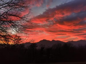 GALLERIA_Natura & Benessere_11