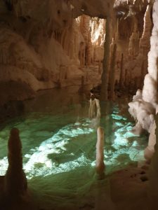 GALLERIA_Natura & Benessere_13
