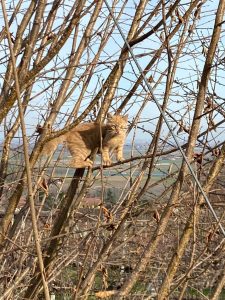 GALLERIA_Natura & Benessere_16a